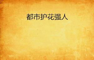 都市護花強人 都市護花強人