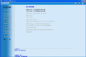 審計軟體 審計軟體