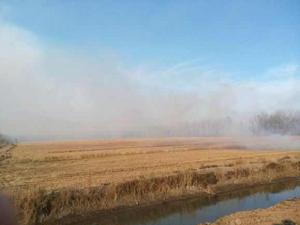 曹妃甸區第六農場 曹妃甸區第六農場