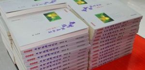 當夢想照亮現實—傳奇2011