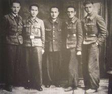 杜米特魯&middot;彼特列斯庫和戰友們