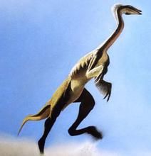 似鳥龍類 似鳥龍類