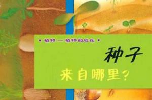 種子來自哪裡? 種子來自哪裡?