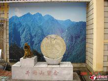 工字銀元[中國土地革命時期鑄幣]