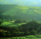 童─艾─納雷松野生生物保護區 童─艾─納雷松野生生物保護區