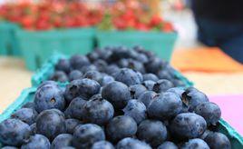 食品基質因素 食品基質因素