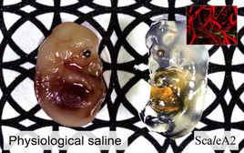 去細胞色素試劑 去細胞色素試劑