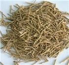 垂花香薷 垂花香薷