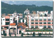 張家坡鎮 張家坡鎮