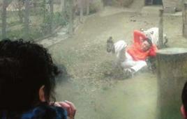 老虎咬死飼養員事件 老虎咬死飼養員事件