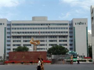 綠洲路街道辦事處 綠洲路街道辦事處