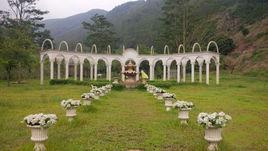 太子坑森林公園 太子坑森林公園