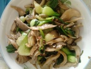 地河草菇素菜