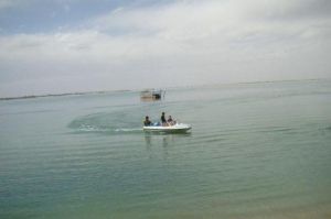 東方紅遊樂園 東方紅遊樂園