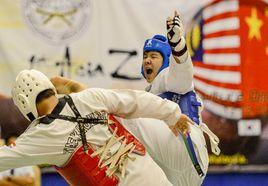 亞洲跆拳道錦標賽 亞洲跆拳道錦標賽