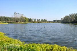 呂坡遺址 呂坡遺址