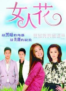 女人花[2012年台灣電視劇]