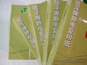 山東晨鳴紙業集團