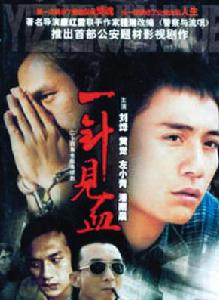 一針見血[2005年康洪雷執導電視劇]