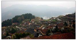 代河村[雲南省曲靖麒麟區白石江街道辦事處代河村]