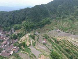 高源村[婺源縣高源村]