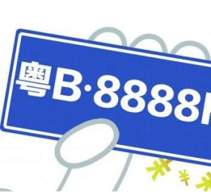 機動車號牌 機動車號牌