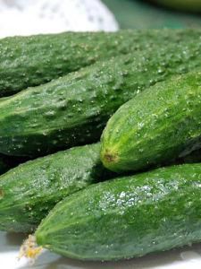 水果黃瓜 水果黃瓜