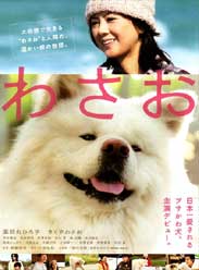 秋田犬瓦薩奧
