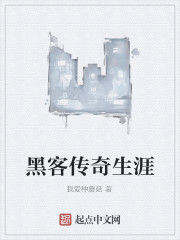 黑客傳奇生涯 黑客傳奇生涯