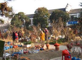 裕豐花市 裕豐花市