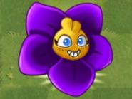 縮小紫羅蘭大招效果