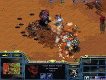 埃德蒙&middot;杜克