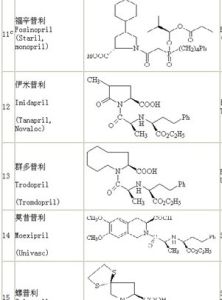 血管緊張素轉換酶抑制劑