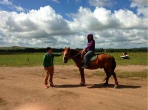 錫苑泥人行 錫苑泥人行