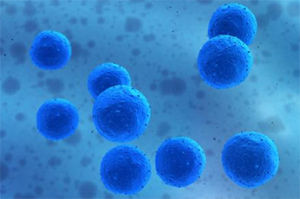 “阻斷+lt”雙向修復激活療法 “阻斷+lt”雙向修復激活療法