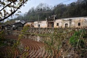 黃花鎮村 黃花鎮村