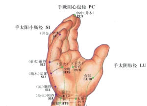 手陽明脈氣