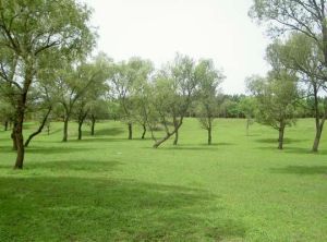 德群莊園 德群莊園