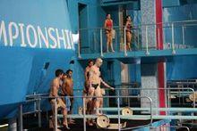 迪米特&middot;薩烏丁