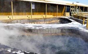 蓮青山溫泉 蓮青山溫泉