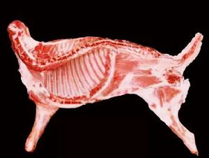 中陽柏籽羊肉 中陽柏籽羊肉