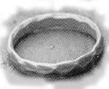 工程師之戒 工程師之戒