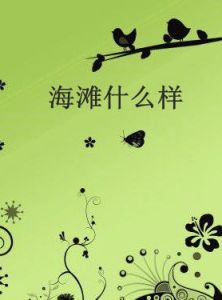 海灘什麼樣 海灘什麼樣