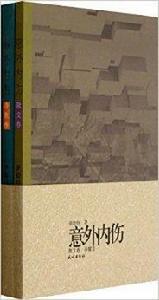 意外內傷 意外內傷