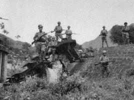 老虎洞慘案 老虎洞慘案