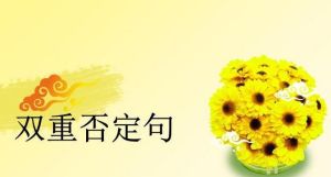 雙重否定句 雙重否定句