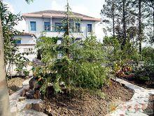 姚莊村[山東省棗莊市級索鎮下轄村]