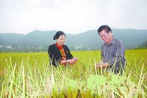 蘭華雄、徐淑英夫婦