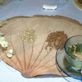 決明荷葉茶 決明荷葉茶