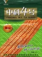 中科4號 中科4號